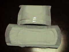 center-in powder in mesh jpg